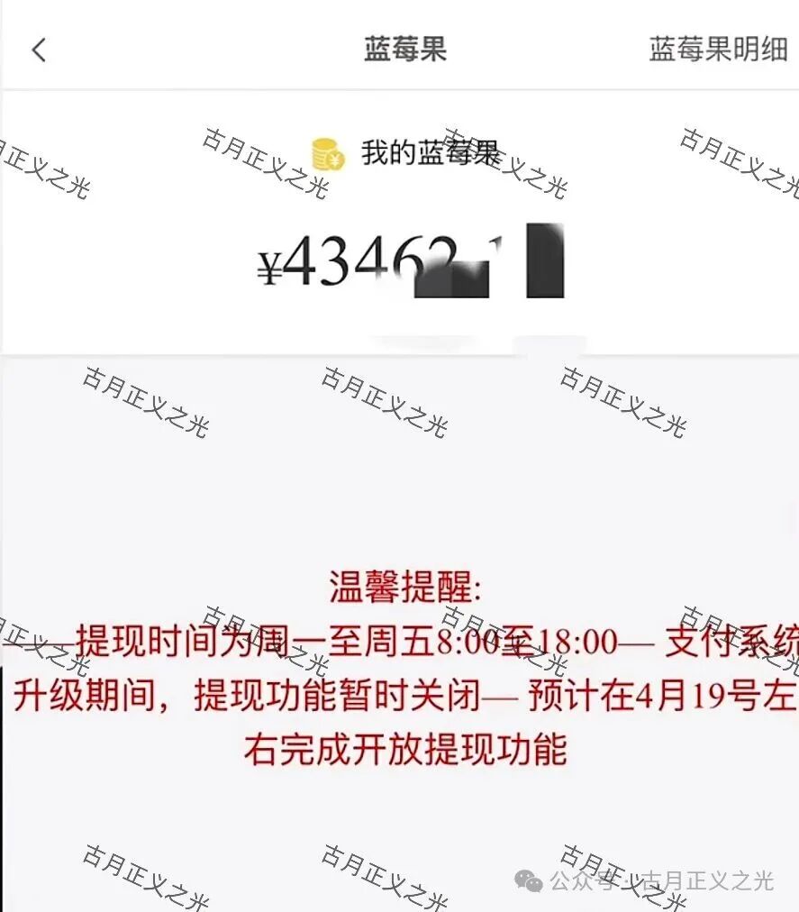 骗局【蓝莓甄选】抢单寄售类资金盘,“艾兴合”同模式,已经不能提现,崩盘
