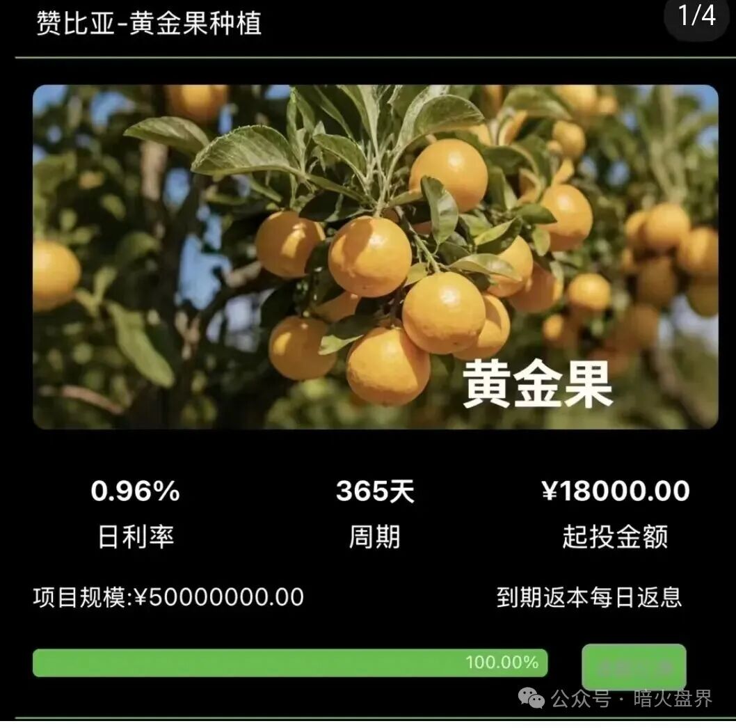 “华洋绿投”海外种果树资金盘骗局,专坑想赚快钱的普通人,随时崩盘跑路! “华洋绿投”海外种果树资金盘骗局,专坑想赚快钱的普通人,随时崩盘跑路!