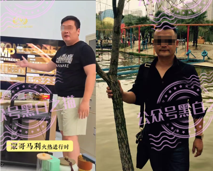 “MP蒙哥马利”项目暗藏玄机，巨大渔网洒向投资人