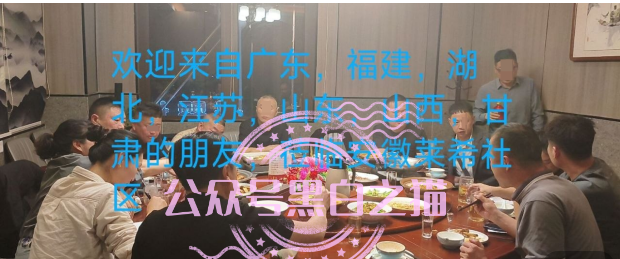 “MP蒙哥马利”项目暗藏玄机，巨大渔网洒向投资人