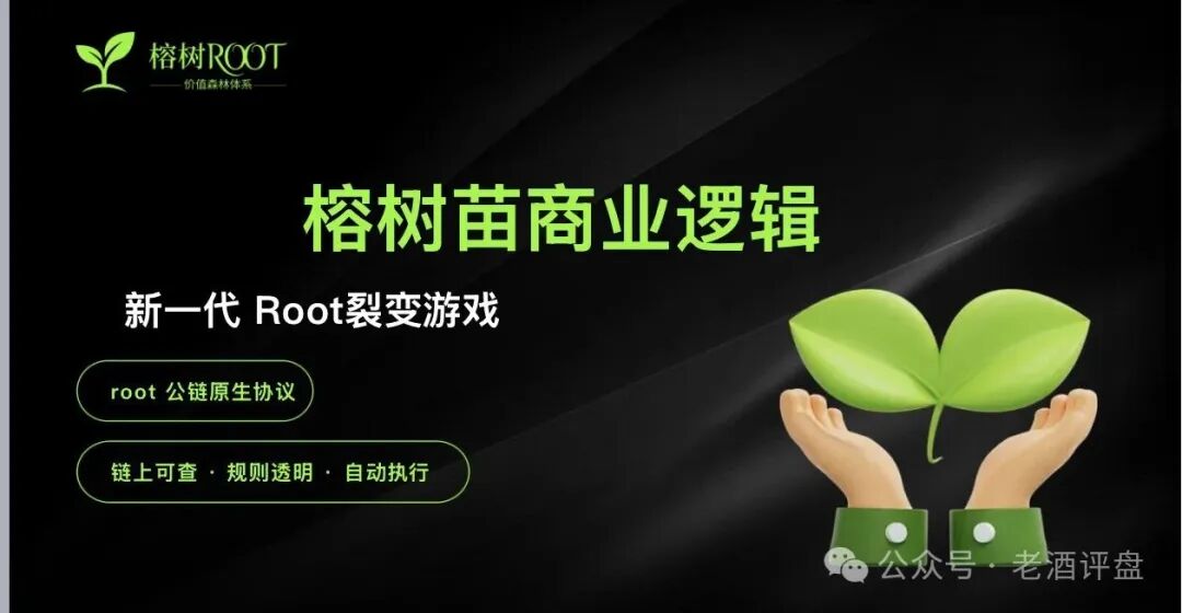 警惕“榕树ROOT”:打着Web3旗号的典型资金盘骗局!!