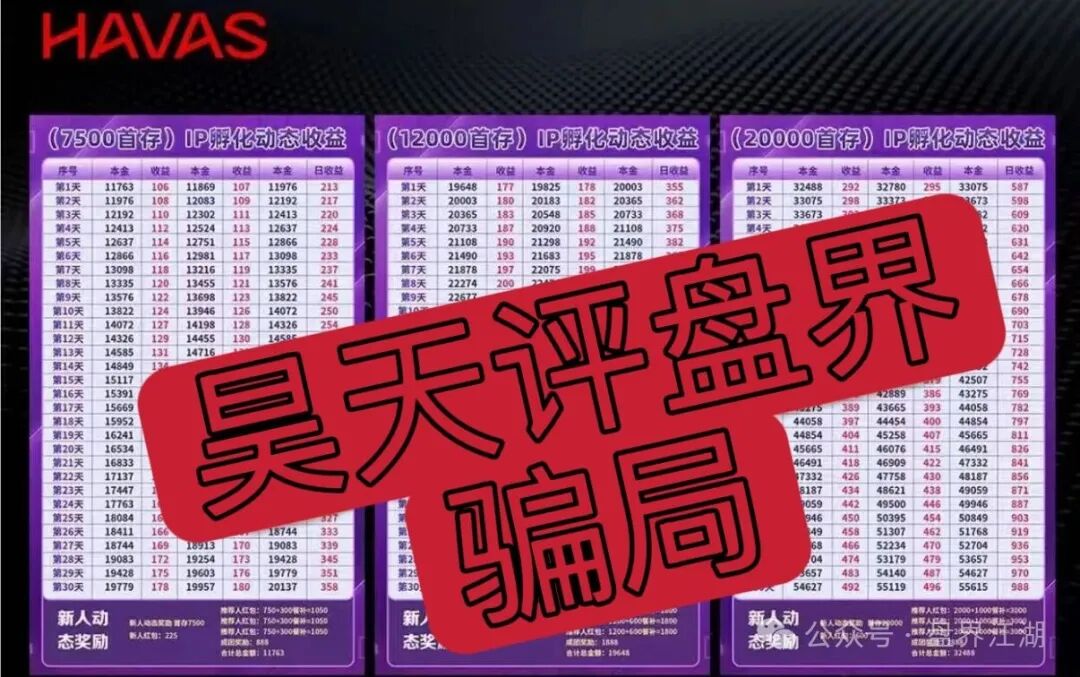 套牌的【HAVAS 】IP孵化平台”资金盘骗局，日收益高达1%，高度预警，远离！