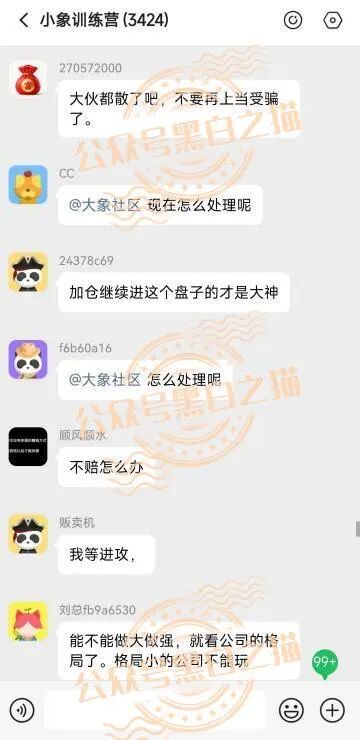 【YESORNO+大象社区】项目背景虚造，涉及私设赌场罪，团队长好自为之......