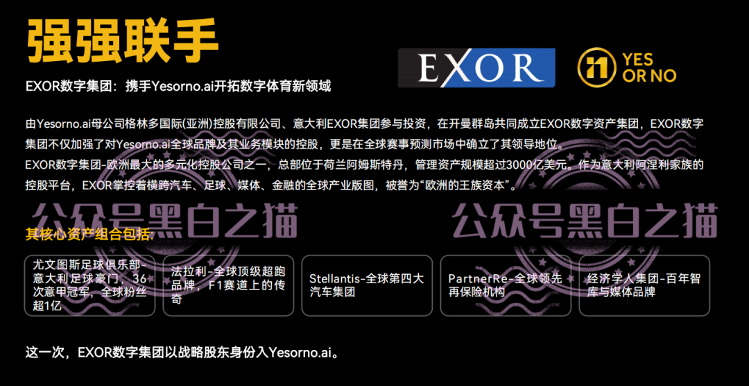 【YESORNO+大象社区】项目背景虚造，涉及私设赌场罪，团队长好自为之......