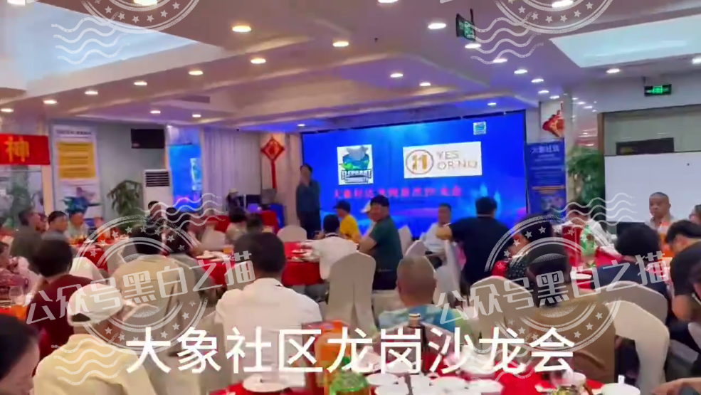 【YESORNO+大象社区】项目背景虚造，涉及私设赌场罪，团队长好自为之......
