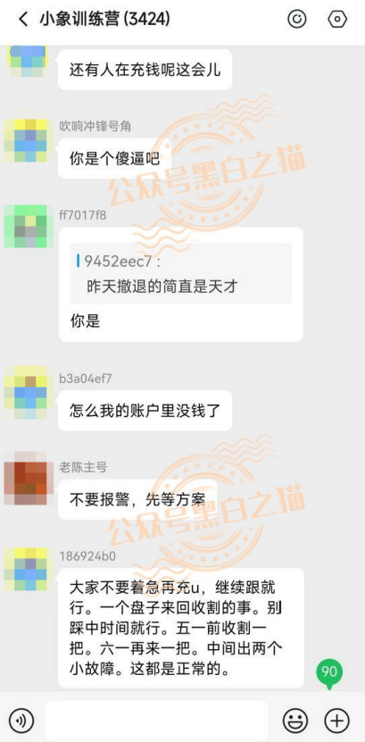 【YESORNO+大象社区】项目背景虚造，涉及私设赌场罪，团队长好自为之......