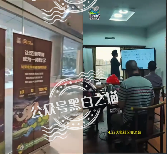 【YESORNO+大象社区】项目背景虚造，涉及私设赌场罪，团队长好自为之......