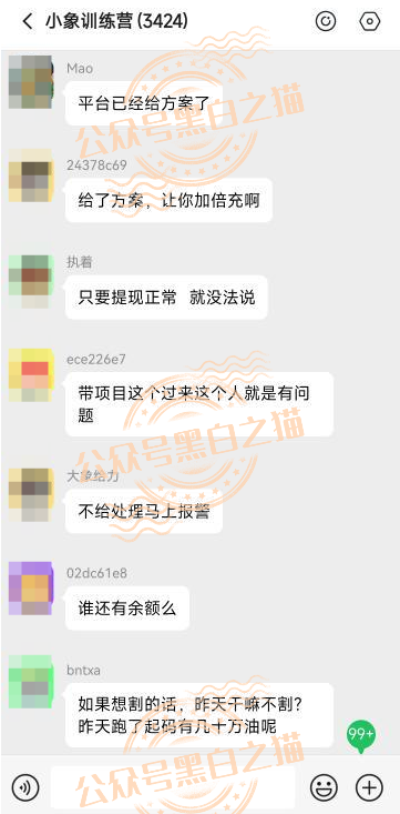 【YESORNO+大象社区】项目背景虚造，涉及私设赌场罪，团队长好自为之......