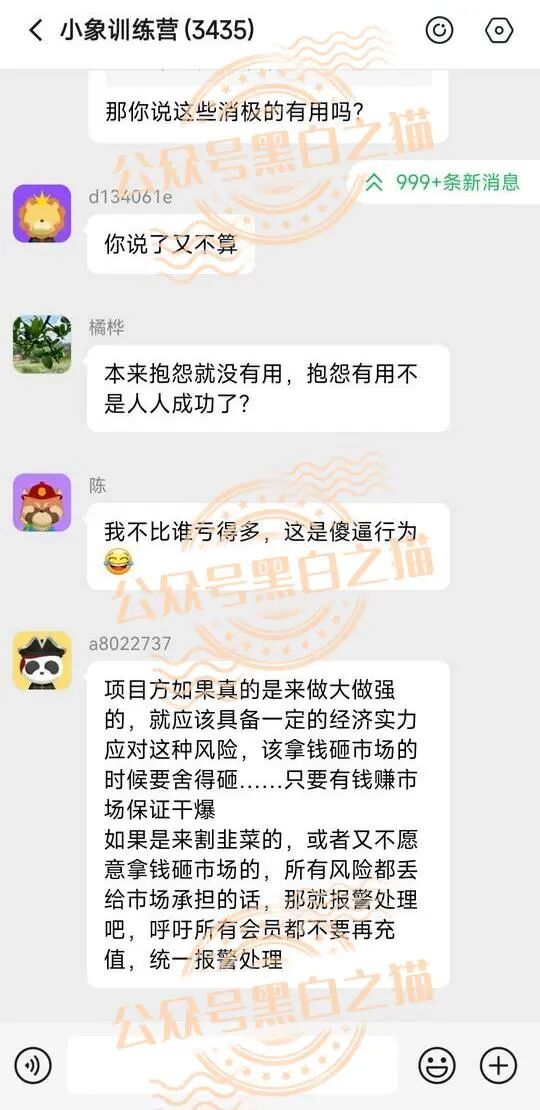 【YESORNO+大象社区】项目背景虚造，涉及私设赌场罪，团队长好自为之......