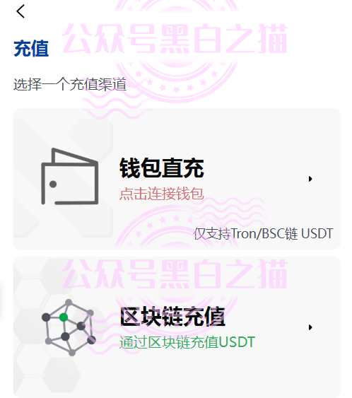 【YESORNO+大象社区】项目背景虚造，涉及私设赌场罪，团队长好自为之......