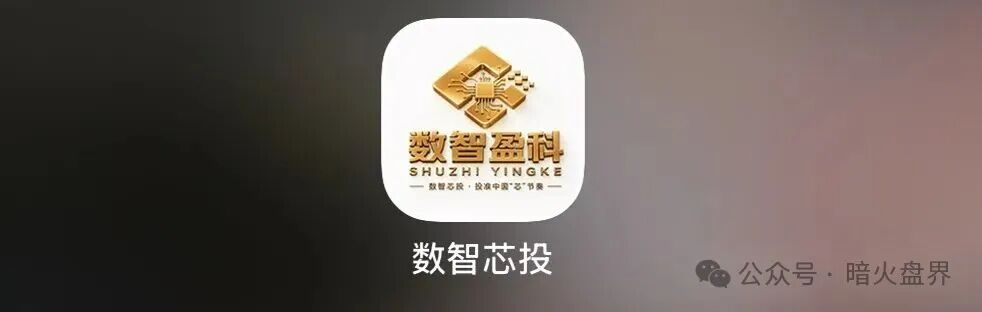 “数智盈科”数智芯投 iChip 盈纯资金盘,千万别投,守住自己的血汗钱!