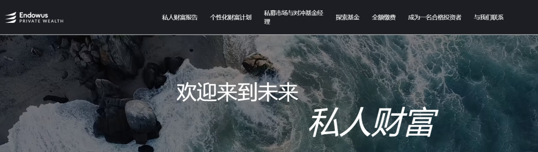 揭秘伪冒的智安投(Endowus)资金盘,撕开伪装现原形,请投资人注意高风险。 揭秘伪冒的智安投(Endowus)资金盘,撕开伪装现原形,请投资人注意高风险。